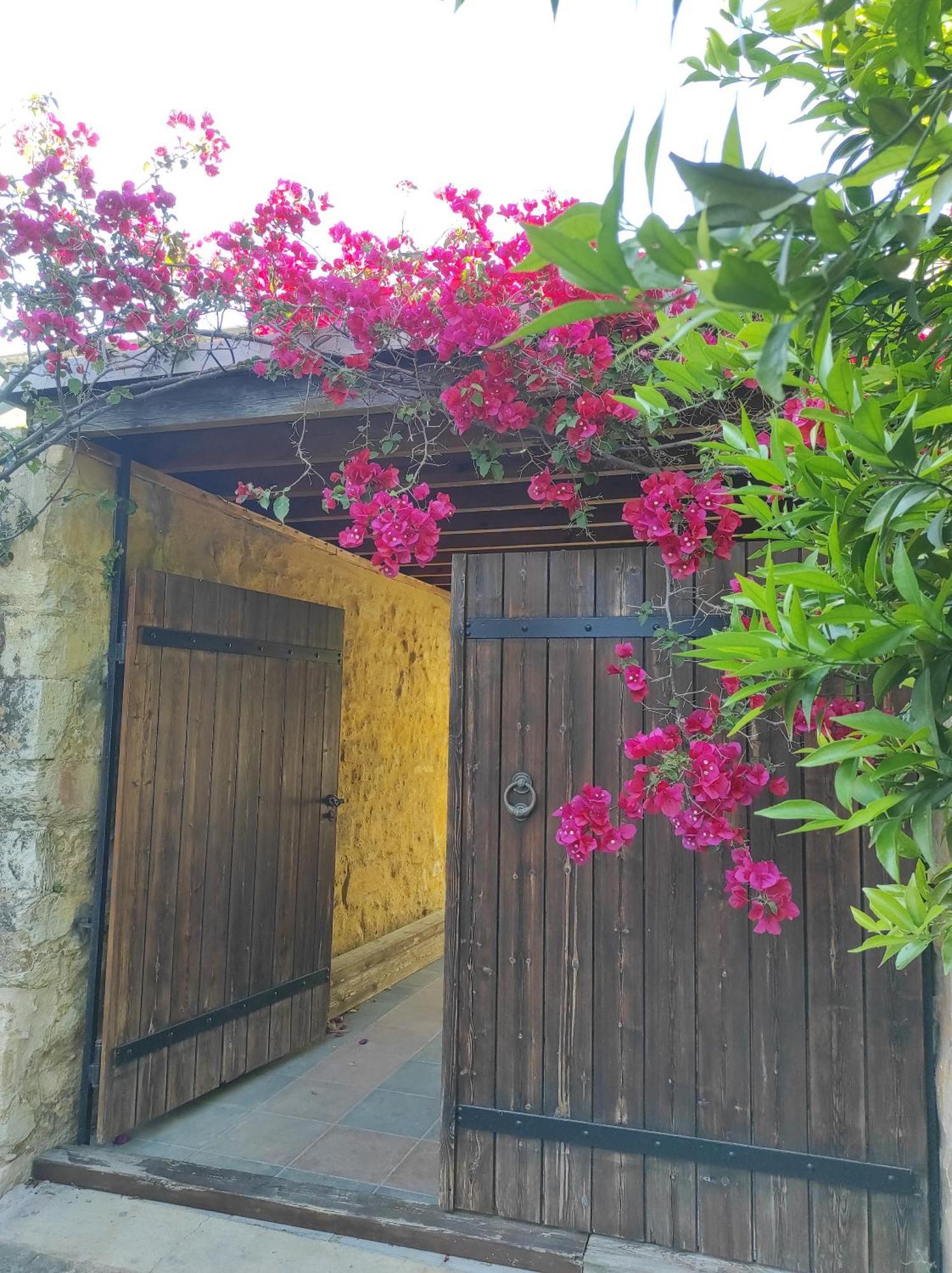 Villa Alexandrou Vamos Zewnętrze zdjęcie